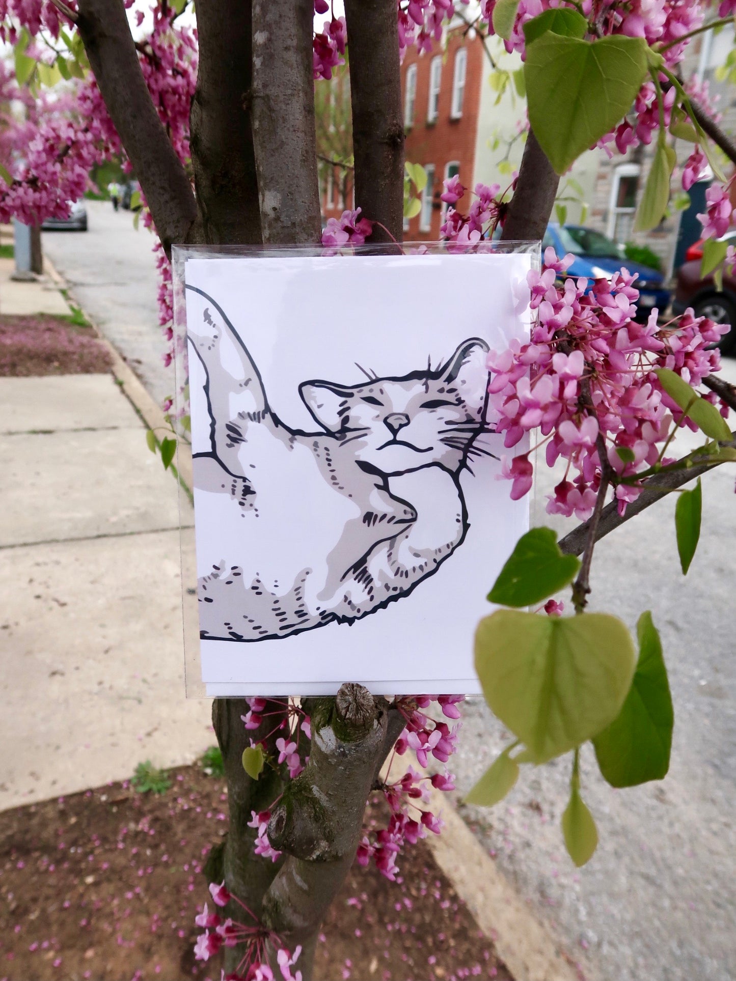 Good Cat Card