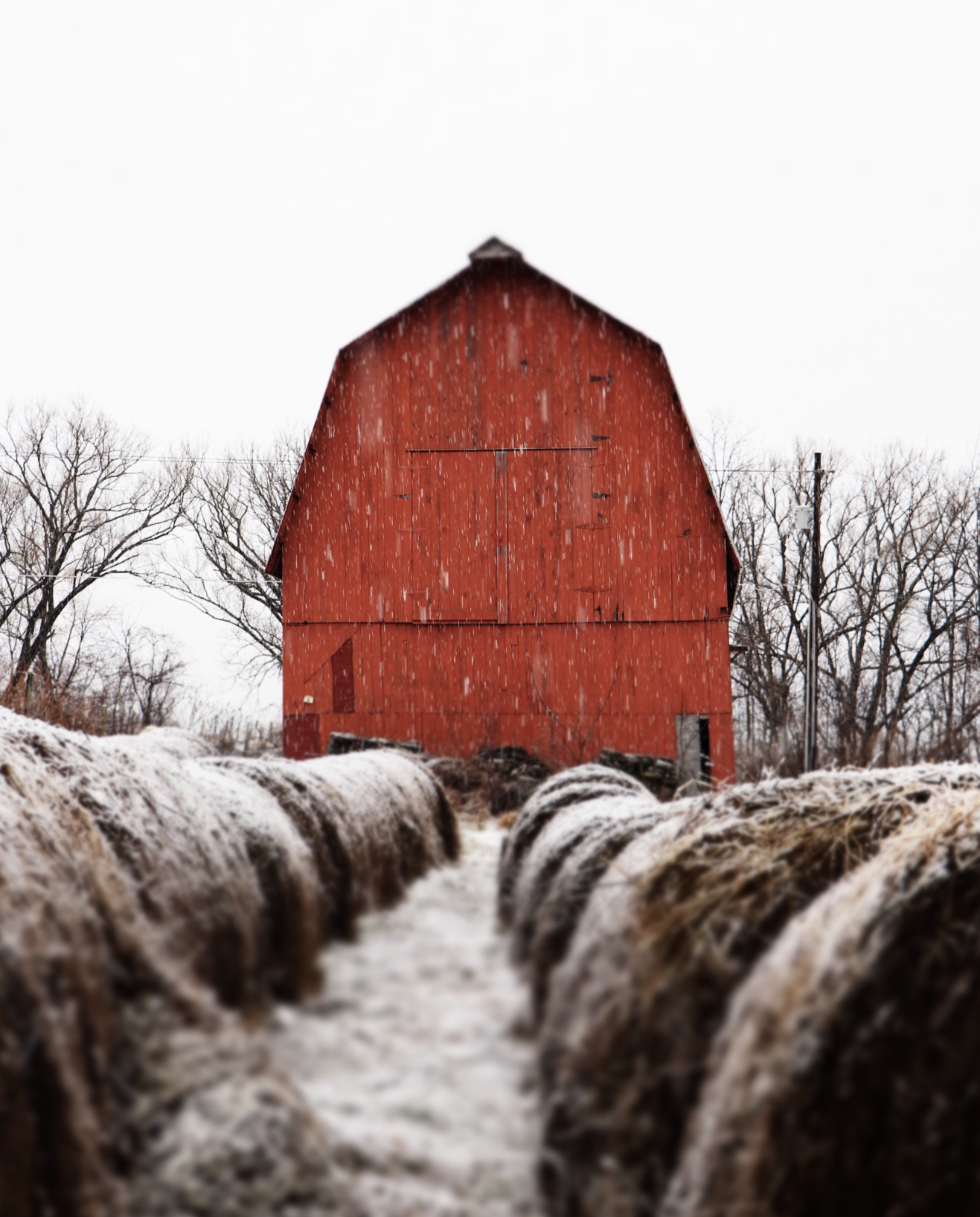 Photography Prints by Shane Hutchinson