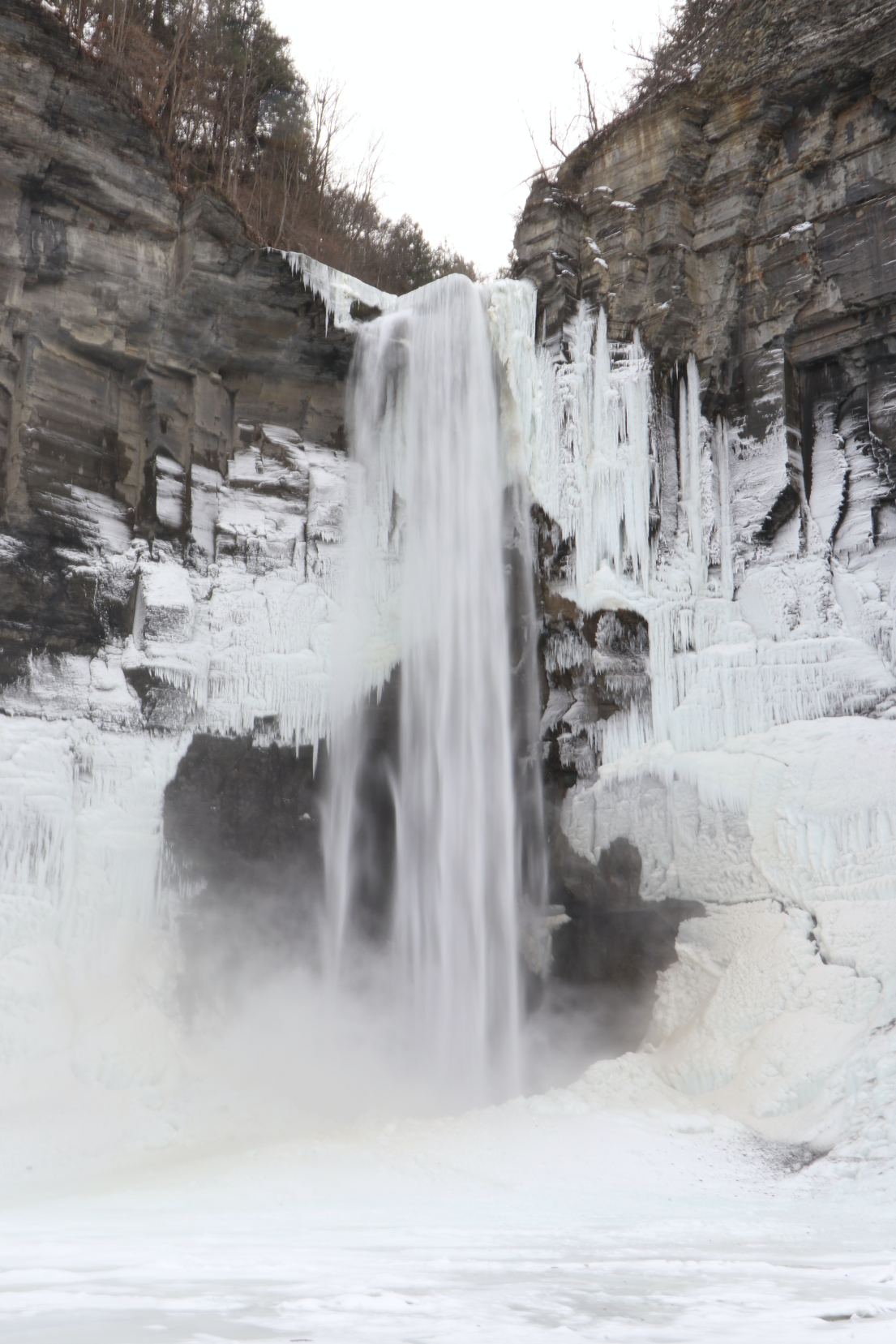 Photography Prints by Shane Hutchinson