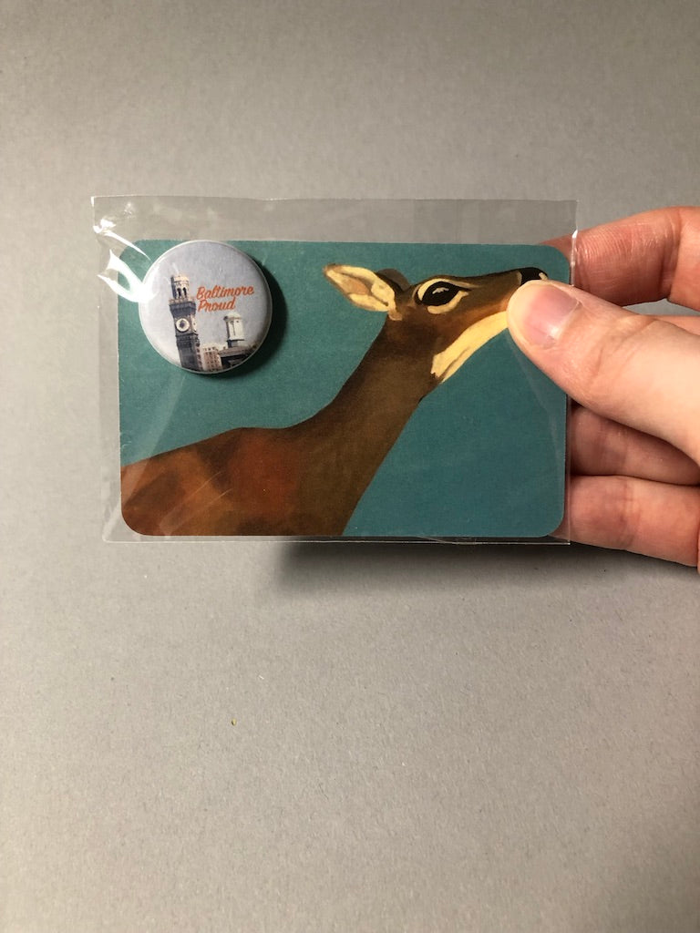 Pins by Magan Ruthke