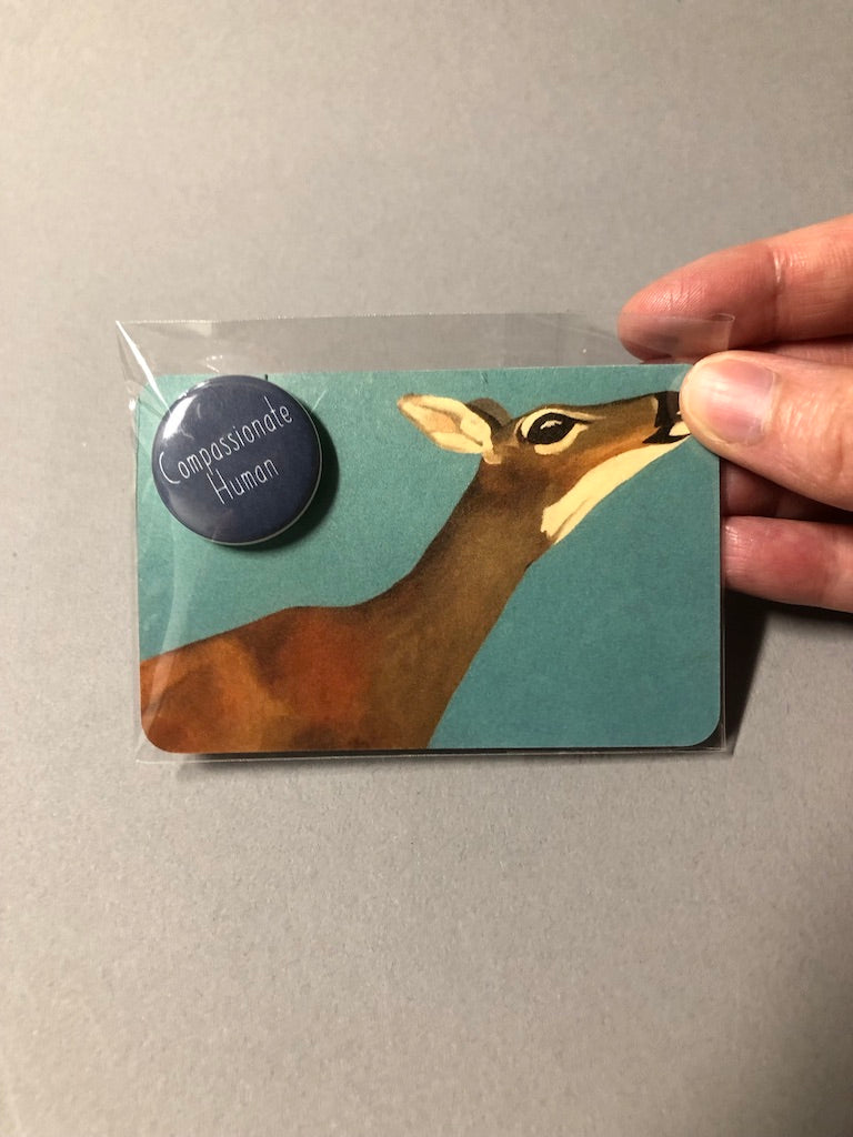 Pins by Magan Ruthke