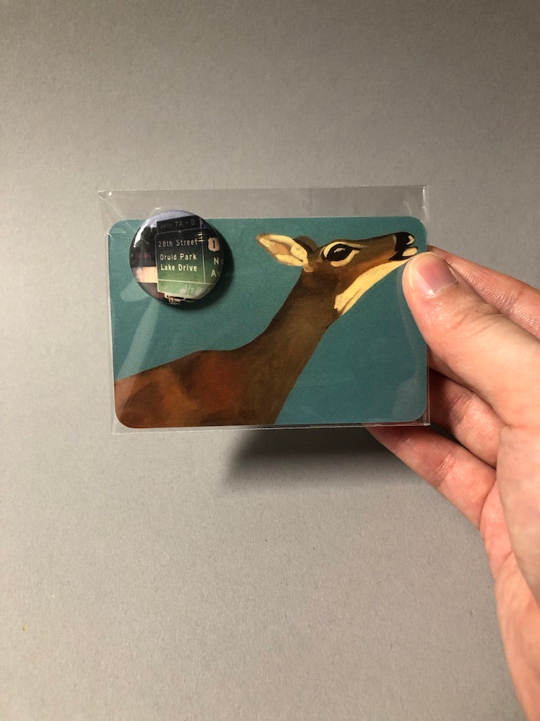 Pins by Magan Ruthke