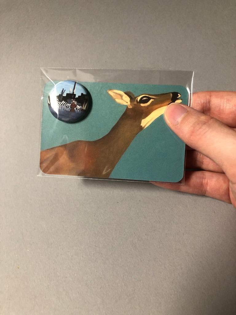 Pins by Magan Ruthke