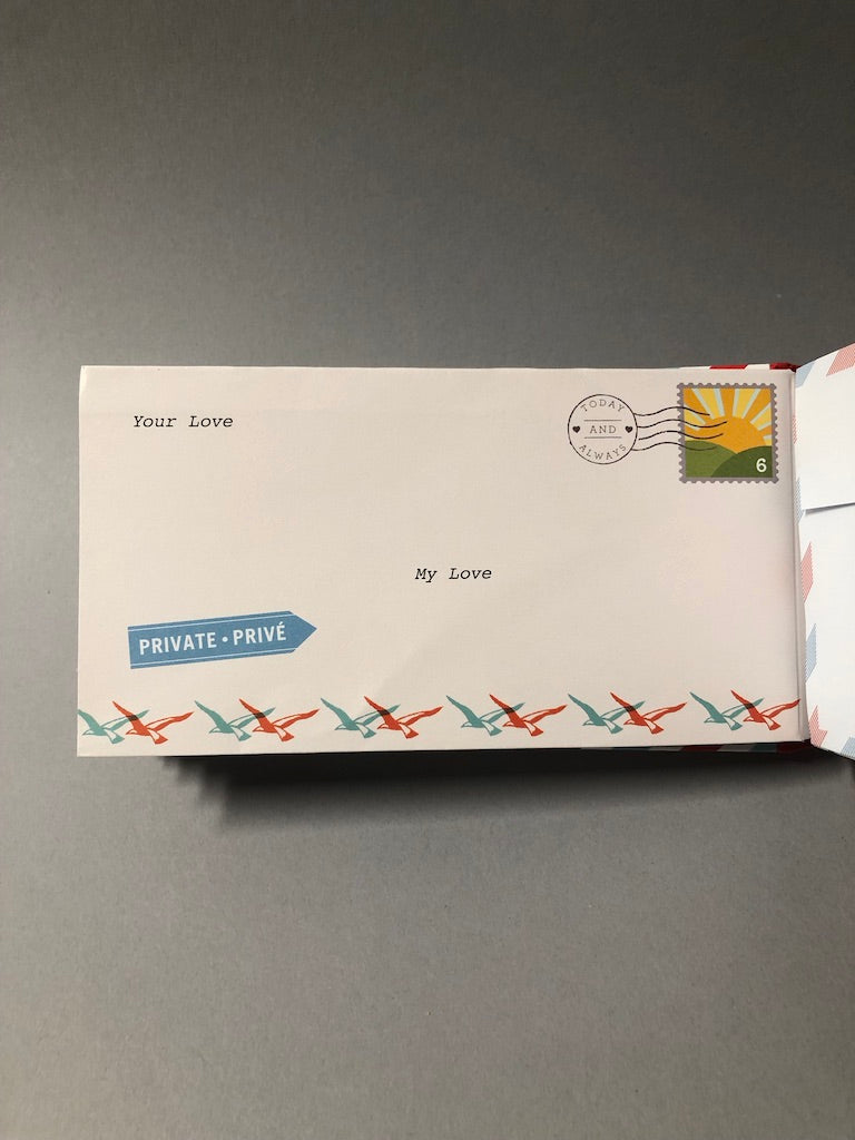 Letters to My Love Book